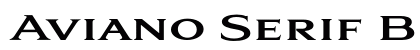 Aviano Serif Black Black preview