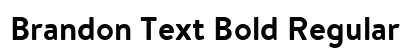 Brandon Text Bold Regular font free download