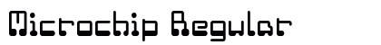 Microchip Regular preview Microchip Regular preview