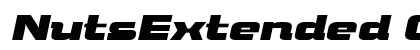 NutsExtended Oblique Preview