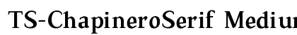 TS-ChapineroSerif Medium preview