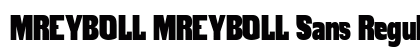 MREYBOLL MREYBOLL Sans Regular preview