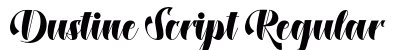 Dustine Script Regular preview