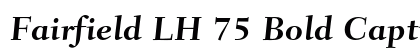 Fairfield LH 75 Bold Caption Preview