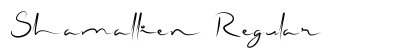 Shamallien Regular Font Preview