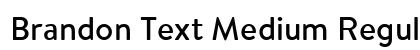 Brandon Text Medium Regular font free download