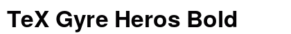 TeX Gyre Heros Bold font free download