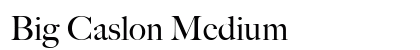 Big Caslon Medium font free download