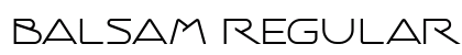Balsam Regular Font Preview