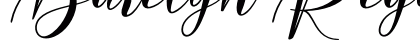 Barelyn Regular Font Preview