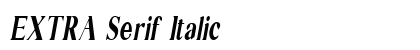 EXTRA Serif Italic preview