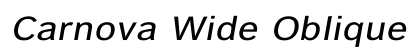 Carnova Wide Oblique Regular font free download