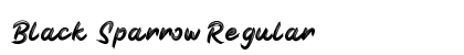Black Sparrow Regular Font Preview