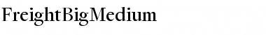FreightBigMedium Regular Font