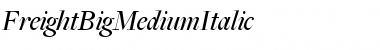 FreightBigMediumItalic Regular Font