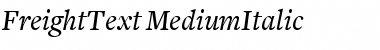 FreightText MediumItalic