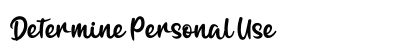 Determine Personal Use preview