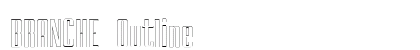 BRANCHE Outline preview