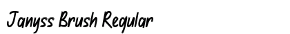 Janyss Brush Regular preview