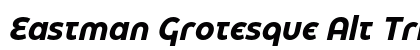Eastman Grotesque Alt Trial Bold Italic Preview