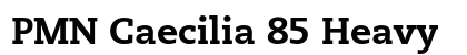 PMN Caecilia 85 Heavy font free download
