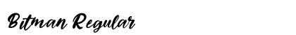Bitman Regular preview