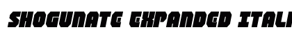 Shogunate Expanded Italic Expanded Italic Font Preview