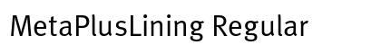 MetaPlusLining Regular Preview