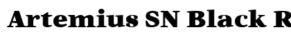Artemius SN Black Regular Font Artemius SN Black Regular Font Preview