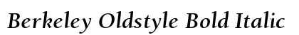 Berkeley Oldstyle Bold Italic font free download