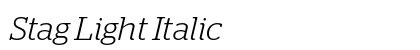 Stag Light Italic preview