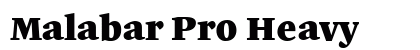 Malabar Pro Heavy preview