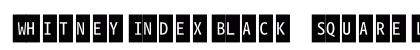WhitneyIndexBlack SquareLt2 preview