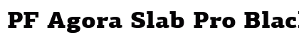 PF Agora Slab Pro Black preview