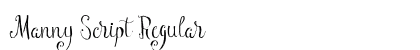 Manny Script Regular preview