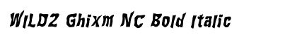WILD2 Ghixm NC Bold Italic preview