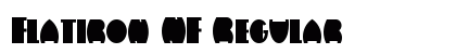 Flatiron NF Regular Font Preview