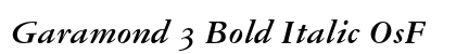 Garamond 3 Bold Italic OsF preview