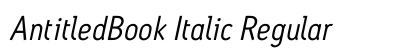 AntitledBook Italic Regular