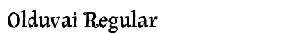 Olduvai Regular Preview