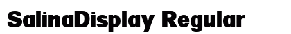 SalinaDisplay Regular