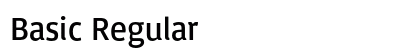 Basic Regular preview