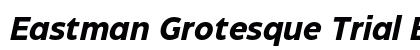 Eastman Grotesque Trial Bold Italic preview