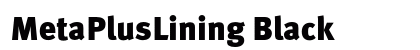 MetaPlusLining Black preview