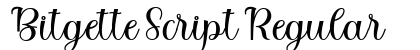 Bitgette Script Regular preview