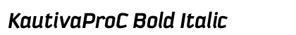 KautivaProC Bold Italic preview