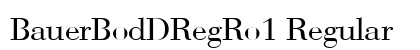 BauerBodDRegRo1 Regular font free download