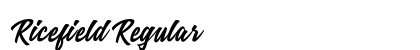 Ricefield Regular preview