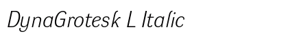 DynaGrotesk L Italic preview DynaGrotesk L Italic preview