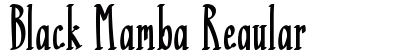 Black Mamba Regular preview